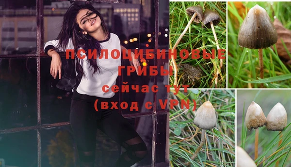 каннабис Осташков