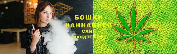 твердый Осинники