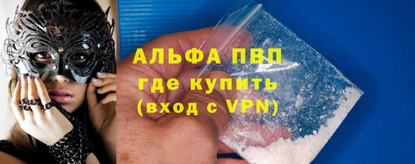 ECSTASY Болотное
