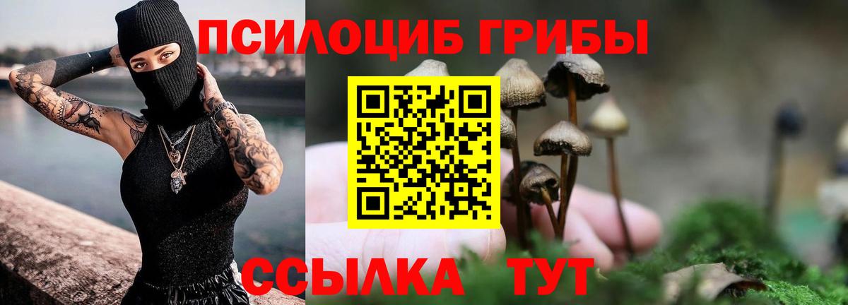 Галлюциногенные грибы мухоморы  Асино  Галлюциногенные грибы мицелий 