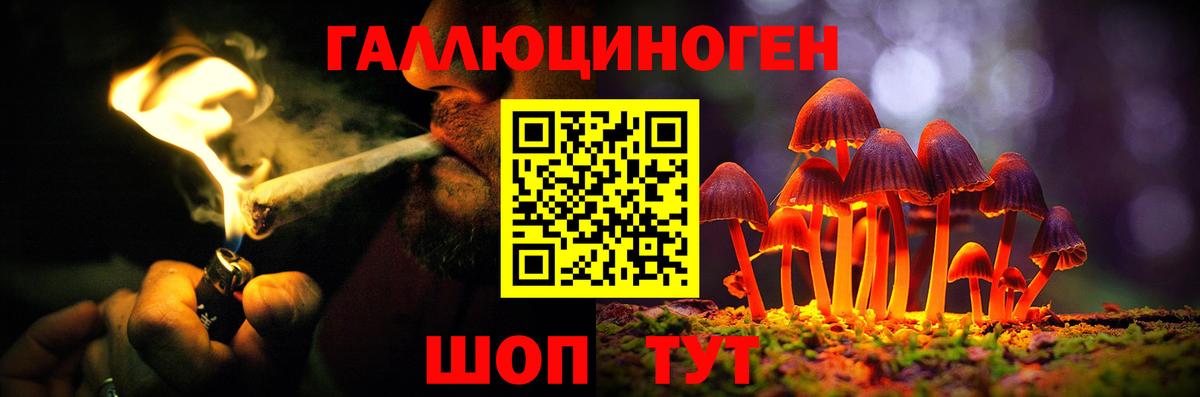 Псилоцибиновые грибы мухоморы Асино